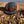Load image into Gallery viewer, Pukka Run Hat