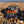 Load image into Gallery viewer, Pukka Run Hat
