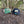Load image into Gallery viewer, Legacy Hats (Shamrock)
